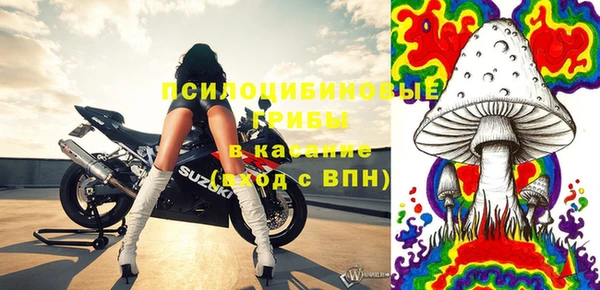 ECSTASY Володарск