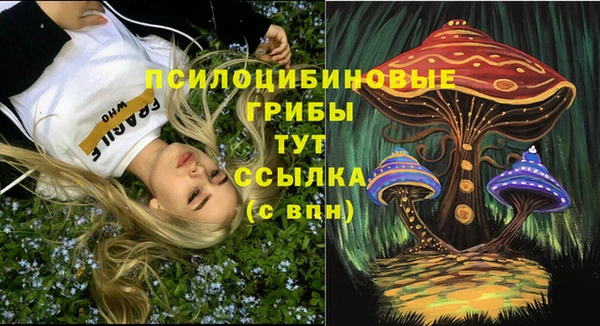 ECSTASY Володарск
