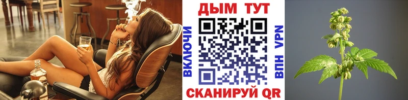 дарнет шоп  Кизел  Бошки Шишки THC 21% 